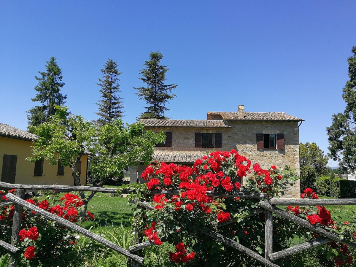 Vakantieboerderij Residenza Il Girasole Bettona